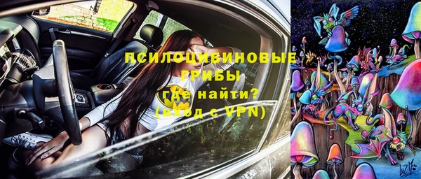 гидра Баксан