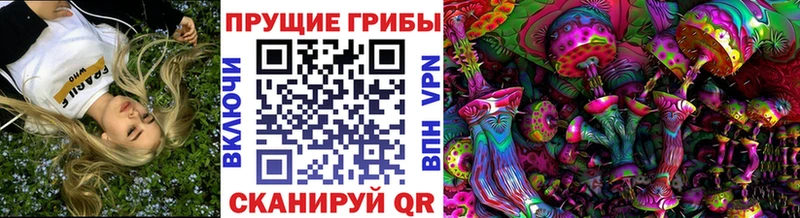 Псилоцибиновые грибы мухоморы  OMG ТОР  Нефтегорск 